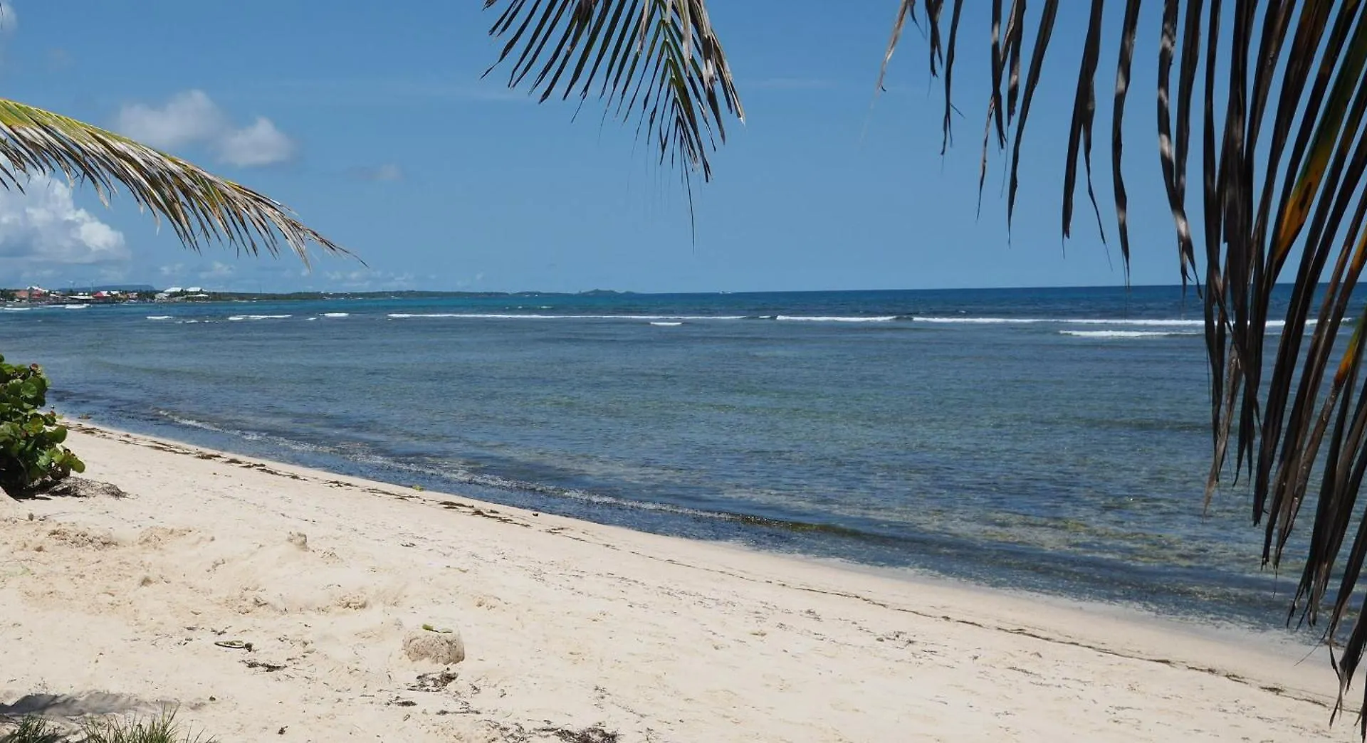 Appartement Le Colibri - T2 les pieds dans l'eau à Saint-Francois